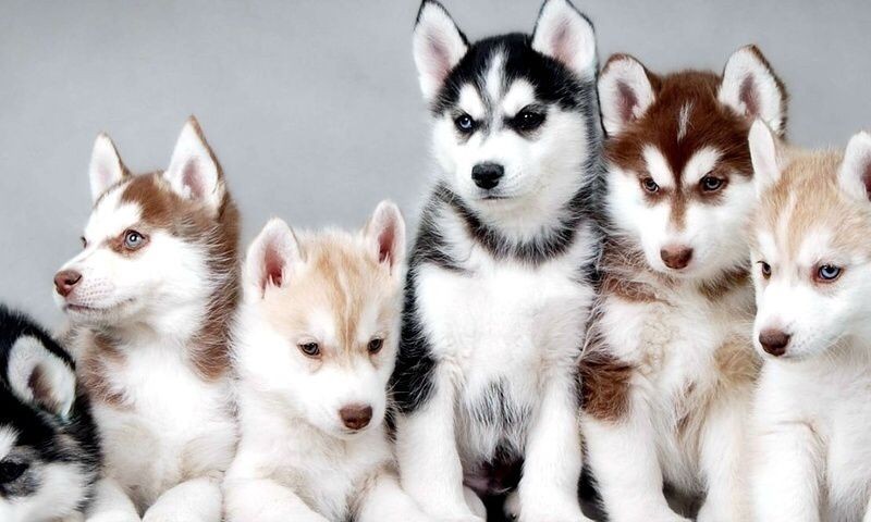 reiciendis-enim-numquam-laboriosam-autem-nulla-enim-autem