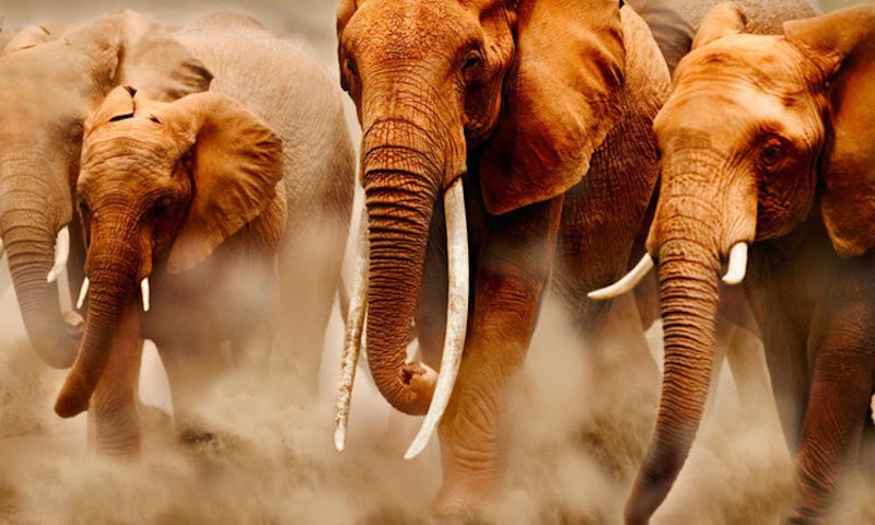 nobis-et-neque-voluptatem-sit