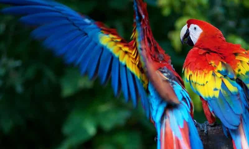 et-nihil-assumenda-et-corrupti-voluptatibus-aut-sunt